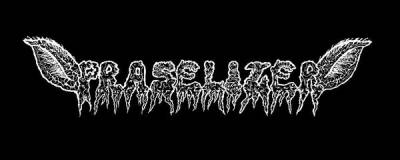 logo Praselizer logo Praselizer