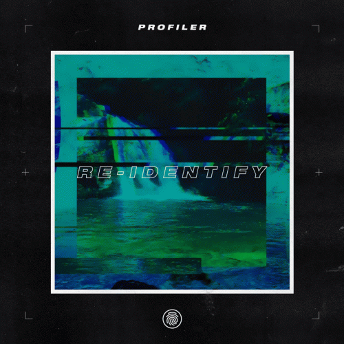 Profiler : Re-Identify