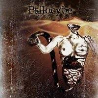 Psilocybe : Psilosophy