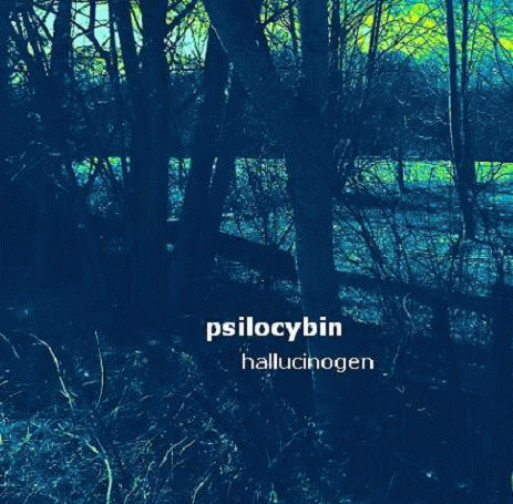 Psilocybin : Hallucinogen