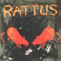 Rattus : Rattus