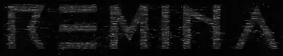 logo Remina