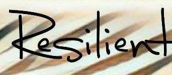 logo Resilient (FRA) logo Resilient (FRA)