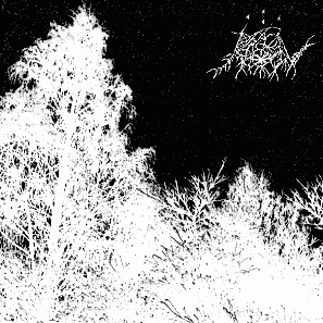 Rigel : Demo Rigel : Demo