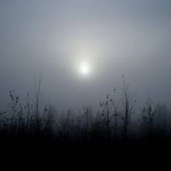 Riippakivi : Kuutamo