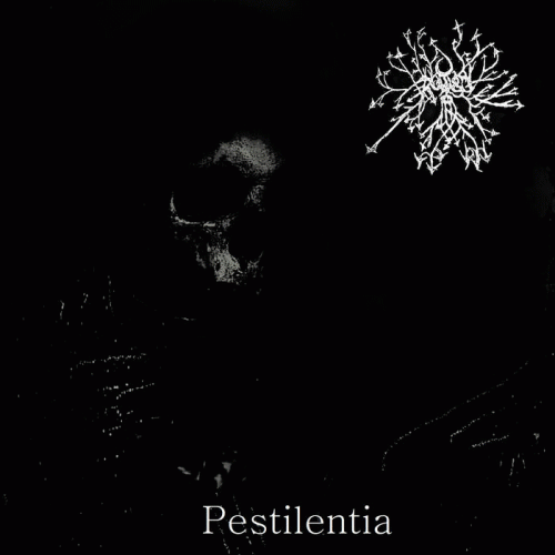 Rudis : Pestilentia