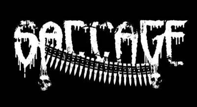 logo Saccage logo Saccage