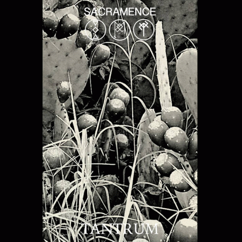 Sacramence : Tantrum