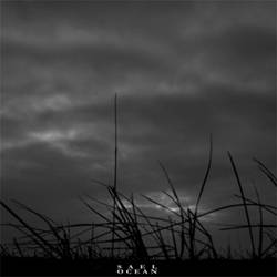 Sael : Ocean