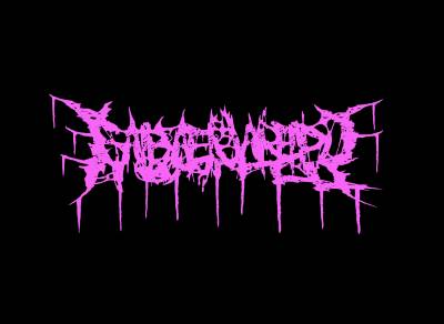 logo Saibaeijareipu logo Saibaeijareipu