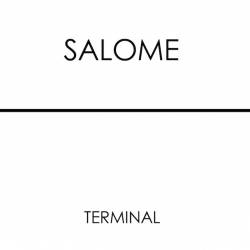 Salome : Terminal