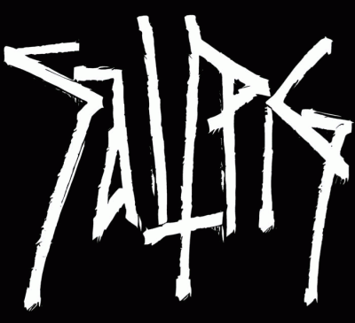 logo Saltpig