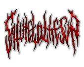 logo Salutetothesun logo Salutetothesun