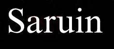 logo Saruin