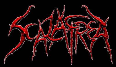 logo Scalafrea logo Scalafrea