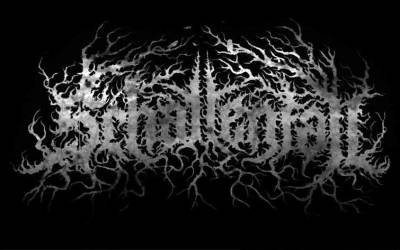 logo Schattenfall