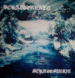 Schattenvald : Schneesturm