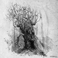 Schattenwelt : Totholz