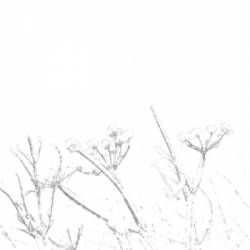 Schattenwelt : Winter