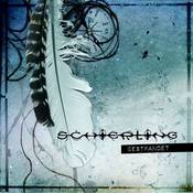 Schierling : Gestrandet