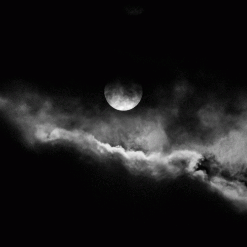 Schzvoid : Night Schzvoid : Night