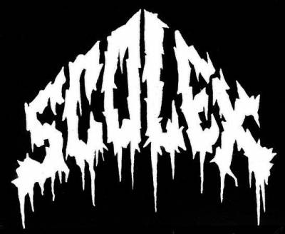 logo Scolex logo Scolex
