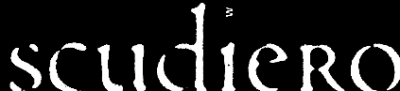 logo Scudiero