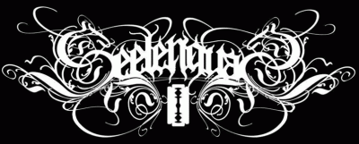logo Seelenqual
