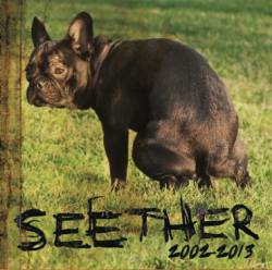 Seether : 2002-2013