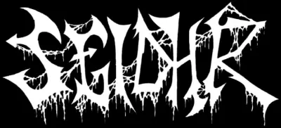 logo Seidhr