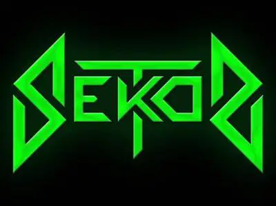 logo Sektor