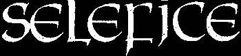 logo Selefice