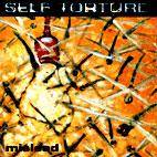 Self Torture : Mislead