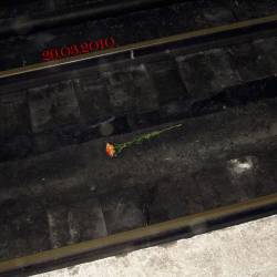 Senmuth : 29.03.2010