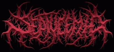 logo Septycemia