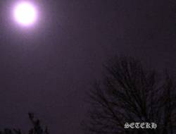 Setekh : Spectral Setekh : Spectral