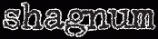 logo Shagnum