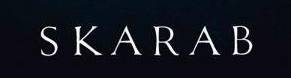 logo Skarab