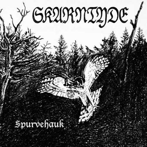 Skarntyde : Spurvehauk Skarntyde : Spurvehauk