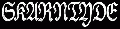 logo Skarntyde