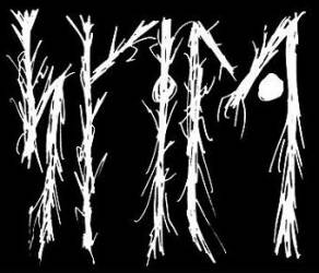 logo Skeld logo Skeld