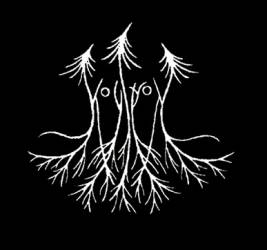 logo Skogstron logo Skogstron