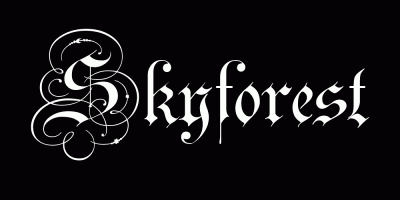 logo Skyforest logo Skyforest