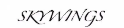 logo Skywings