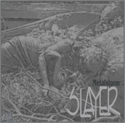 Slayer (USA) : Metalstorm