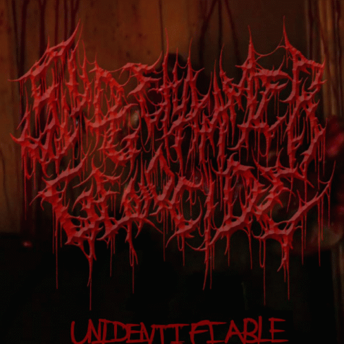SledgeHammerGenocide : Unidentifiable