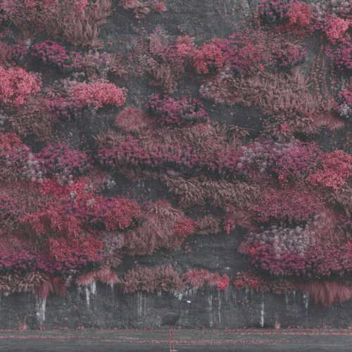 Sleep Token : Even in Arcadia