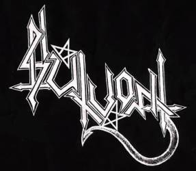 logo Slutvomit logo Slutvomit