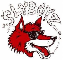 logo Slyboyz