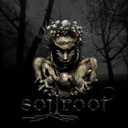 Soilroot